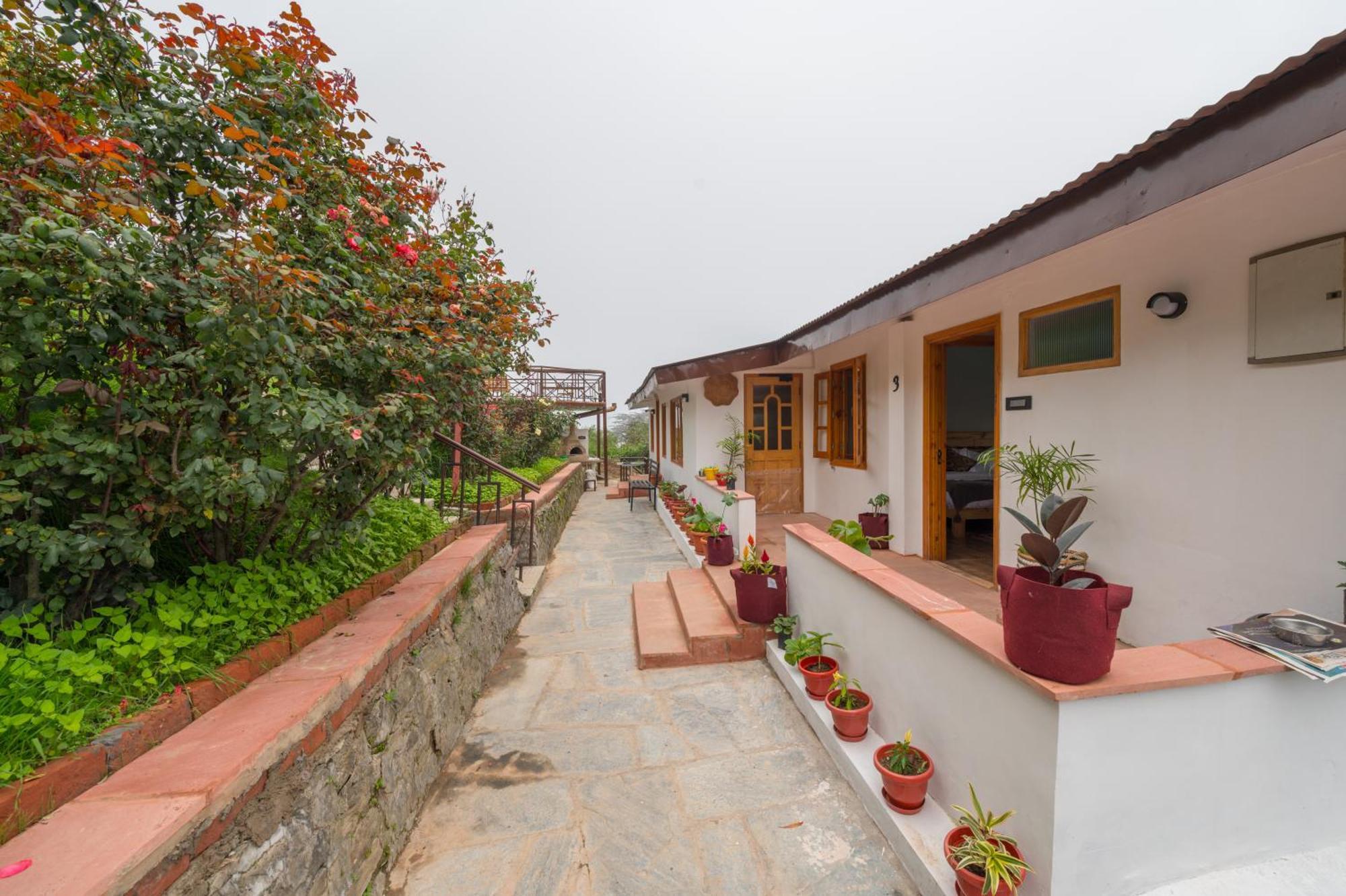 Cedar Hill Lodge - A Boutique Homestay Mashobra Exterior photo